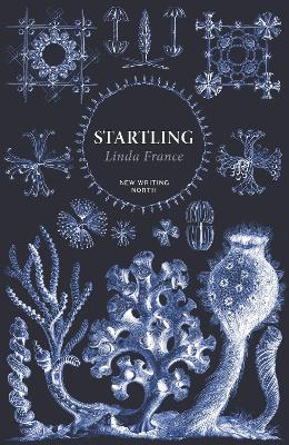 [cover image]