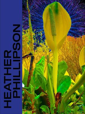 [cover image]