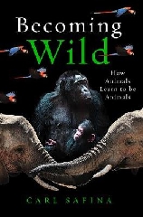 [cover image]