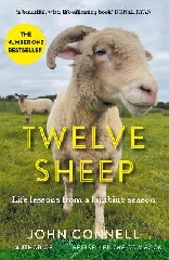 [cover image]