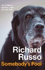 [cover image]