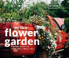 [cover image]