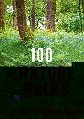 [cover image]
