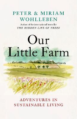 [cover image]