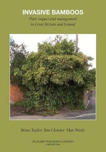 [cover image]