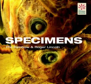 Specimens by Phil Rainbow