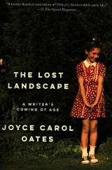 Lost Landscape, The.  Joyce Carol Oates by Joyce Carol Oates