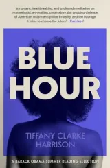 Blue Hour by Tiffany Clarke Harrison