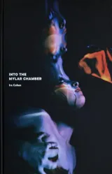 Into the Mylar Chamber by Thurston Moore, Alice Farley