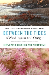 [cover image]