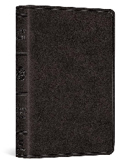 [cover image]
